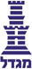 Migdal - Israel's Largest Insurance Company